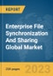 Enterprise File Synchronization And Sharing (EFSS) Global Market Report 2024 - Product Thumbnail Image