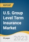U.S. Group Level Term Insurance Market Size, Share, & Trends Analysis Report By Distribution Channel (Tied Agents And Branches, Brokers), And Segment Forecasts, 2023 - 2030 - Product Thumbnail Image