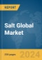 Salt Global Market Report 2024 - Product Thumbnail Image