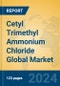 Cetyl Trimethyl Ammonium Chloride Global Market Insights 2024, Analysis and Forecast to 2029, by Manufacturers, Regions, Technology - Product Image