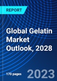 Global Gelatin Market Outlook, 2028- Product Image
