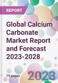 Global Calcium Carbonate Market Report and Forecast 2023-2028- Product Image