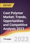 Cast Polymer Market: Trends, Opportunities and Competitive Analysis 2023-2028 - Product Thumbnail Image