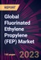 Global Fluorinated Ethylene Propylene (FEP) Market 2023-2027 - Product Thumbnail Image