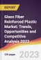 Glass Fiber Reinforced Plastic (GFRP) Market: Trends, Opportunities and Competitive Analysis 2023-2028 - Product Thumbnail Image