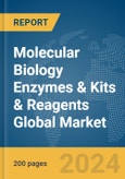 Molecular Biology Enzymes & Kits & Reagents Global Market Report 2024- Product Image