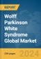 Wolff Parkinson White Syndrome Global Market Report 2024 - Product Image
