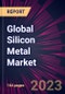 Global Silicon Metal Market 2023-2027 - Product Thumbnail Image