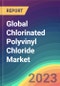 Global Chlorinated Polyvinyl Chloride (CPVC) Market Analysis: Plant Capacity, Production, Operating Efficiency, Demand & Supply, Grade, End-User Industries, Sales Channel, Regional Demand, Company Share, Foreign Trade, 2015-2032 - Product Image