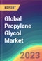 Global Propylene Glycol Market Analysis: Plant Capacity, Production, Operating Efficiency, Demand & Supply, Grade, End-User Industries, Sales Channel, Regional Demand, Foreign Trade, Company Share, 2015-2035 - Product Image