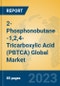 2-Phosphonobutane -1,2,4-Tricarboxylic Acid (PBTCA) Global Market Insights 2023, Analysis and Forecast to 2028, by Manufacturers, Regions, Technology, Application, Product Type - Product Image