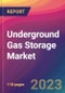 Underground Gas Storage Market Size, Market Share, Application Analysis, Regional Outlook, Growth Trends, Key Players, Competitive Strategies and Forecasts, 2023 to 2031 - Product Thumbnail Image