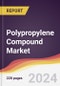 Polypropylene Compound Market: Trends, Opportunities and Competitive Analysis [2024-2030] - Product Image