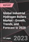 Global Industrial Hydrogen Boilers Market - Growth, Trends, and Forecast to 2028 - Product Thumbnail Image