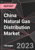 China Natural Gas Distribution Market Report - Market Analysis, Size, Share, Growth, Outlook - Industry Trends and Forecast to 2028- Product Image