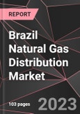 Brazil Natural Gas Distribution Market Report - Market Analysis, Size, Share, Growth, Outlook - Industry Trends and Forecast to 2028- Product Image