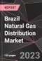 Brazil Natural Gas Distribution Market Report - Market Analysis, Size, Share, Growth, Outlook - Industry Trends and Forecast to 2028 - Product Thumbnail Image