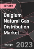 Belgium Natural Gas Distribution Market Report - Market Analysis, Size, Share, Growth, Outlook - Industry Trends and Forecast to 2028- Product Image