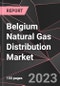 Belgium Natural Gas Distribution Market Report - Market Analysis, Size, Share, Growth, Outlook - Industry Trends and Forecast to 2028 - Product Thumbnail Image