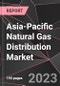 Asia-Pacific Natural Gas Distribution Market Report - Market Analysis, Size, Share, Growth, Outlook - Industry Trends and Forecast to 2028 - Product Thumbnail Image