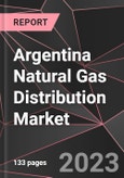 Argentina Natural Gas Distribution Market Report - Market Analysis, Size, Share, Growth, Outlook - Industry Trends and Forecast to 2028- Product Image