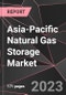 Asia-Pacific Natural Gas Storage Market Report - Market Analysis, Size, Share, Growth, Outlook - Industry Trends and Forecast to 2028 - Product Thumbnail Image
