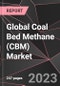 Global Coal Bed Methane (CBM) Market Report - Market Analysis, Size, Share, Growth, Outlook - Industry Trends and Forecast to 2028 - Product Thumbnail Image