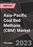 Asia-Pacific Coal Bed Methane (CBM) Market Report - Market Analysis, Size, Share, Growth, Outlook - Industry Trends and Forecast to 2028- Product Image