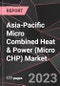 Asia-Pacific Micro Combined Heat & Power (Micro CHP) Market Report - Market Analysis, Size, Share, Growth, Outlook - Industry Trends and Forecast to 2028 - Product Thumbnail Image