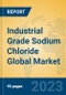 Industrial Grade Sodium Chloride Global Market Insights 2023, Analysis and Forecast to 2028, by Manufacturers, Regions, Technology, Application, Product Type - Product Image