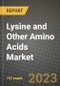Lysine and Other Amino Acids Market Size & Market Share Data, Latest Trend Analysis and Future Growth Intelligence Report - Forecast by Application, Analysis and Outlook from 2023 to 2030 - Product Image