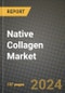 2024 Native Collagen Market Outlook Report: Industry Size, Market Shares Data, Insights, Growth Trends, Opportunities, Competition 2023 to 2031 - Product Image