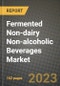 Fermented Non-dairy Non-alcoholic Beverages Market Size & Market Share Data, Latest Trend Analysis and Future Growth Intelligence Report - Forecast by Sales Channel, by Product, Analysis and Outlook from 2023 to 2030 - Product Image