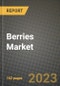 Berries Market Size & Market Share Data, Latest Trend Analysis and Future Growth Intelligence Report - Forecast by Application, Analysis and Outlook from 2023 to 2030 - Product Image