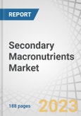 Secondary Macronutrients Market by Nutrient (Calcium, Magnesium, and Sulfur), Crop Type (Cereals and Grains, Oilseeds and Pulses, Fruits and Vegetables), Mode of Application (Solid and Liquid), Form and Region - Global Forecast to 2028- Product Image