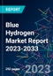 Blue Hydrogen Market Report 2023-2033 - Product Thumbnail Image