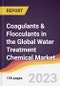Coagulants & Flocculants in the Global Water Treatment Chemical Market: Trends, Opportunities and Competitive Analysis 2023-2028 - Product Image