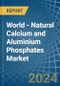 World - Natural Calcium and Aluminium Phosphates - Market Analysis, Forecast, Size, Trends and Insights - Product Image