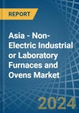 Asia - Non-Electric Industrial or Laboratory Furnaces and Ovens - Market Analysis, Forecast, Size, Trends and Insights- Product Image