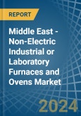 Middle East - Non-Electric Industrial or Laboratory Furnaces and Ovens - Market Analysis, Forecast, Size, Trends and Insights- Product Image