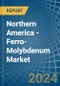 Northern America - Ferro-Molybdenum - Market Analysis, Forecast, Size, Trends and Insights - Product Image