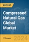 Compressed Natural Gas Global Market Report 2024 - Product Thumbnail Image