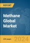 Methane Global Market Report 2024 - Product Thumbnail Image