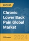 Chronic Lower Back Pain Global Market Report 2024 - Product Image