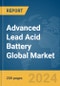 Advanced Lead Acid Battery Global Market Report 2024 - Product Thumbnail Image