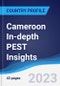 Cameroon In-depth PEST Insights - Product Image