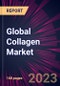 Global Collagen Market 2023-2027 - Product Thumbnail Image