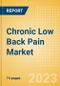 Chronic Low Back Pain (CLBP) Marketed and Pipeline Drugs Assessment, Clinical Trials and Competitive Landscape - Product Image