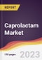Caprolactam Market: Trends, Opportunities and Competitive Analysis 2023-2028 - Product Image