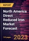 North America Direct Reduced Iron Market Forecast to 2028 - Regional Analysis by Form, Production Process, Application - Product Thumbnail Image